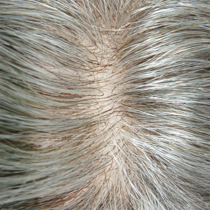 njc473-silk-mono-with-pu-grey-mens-toupee-5