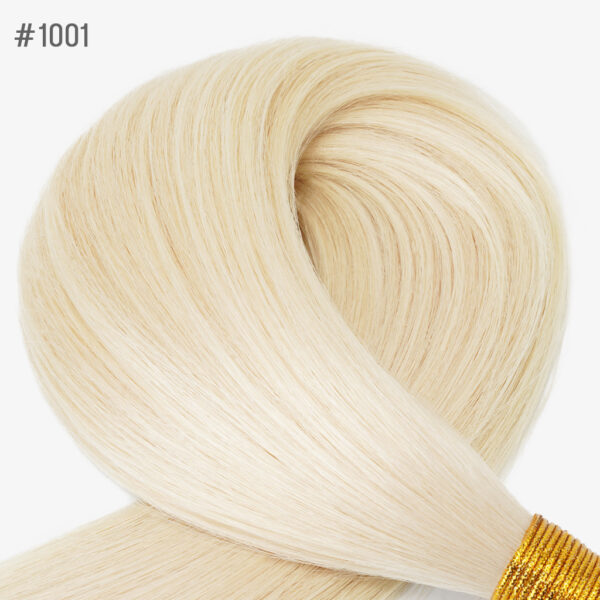 #1001 Platinum Blonde